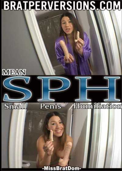 平均SPH
